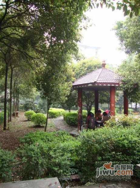 王家冲社区实景图图片