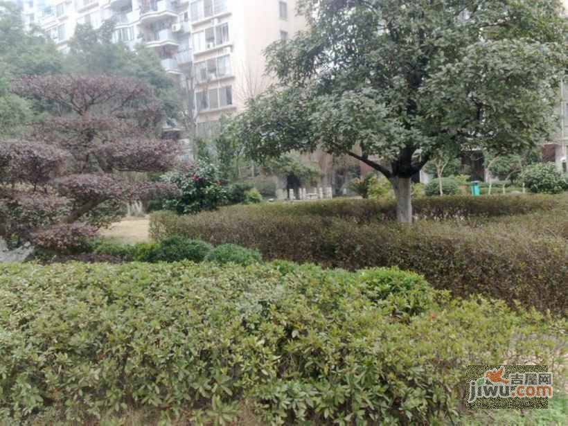 白沙花园实景图图片