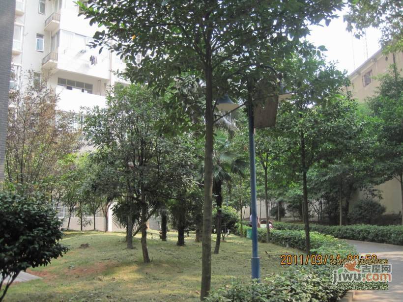桔园经典实景图图片
