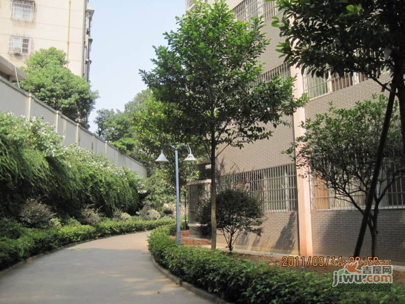 桔园经典实景图图片