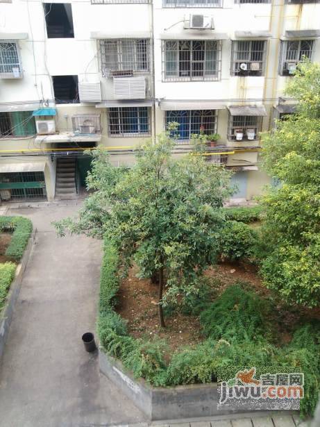 狮子山社区实景图图片