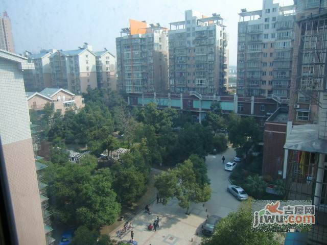 翡翠林居实景图图片