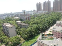 湘樟园实景图图片
