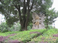 湘樟园实景图图片