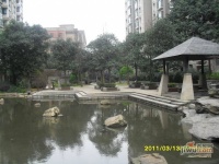 中江国际花城实景图图片