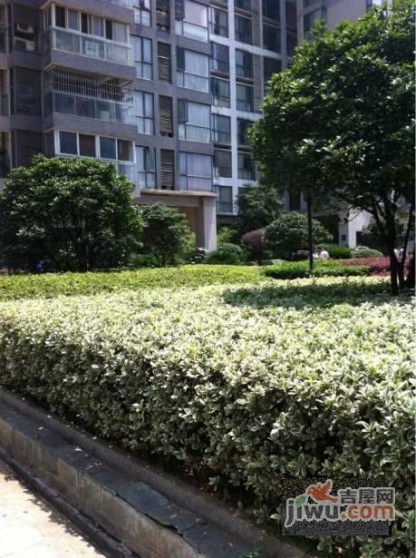 东方新世界实景图图片