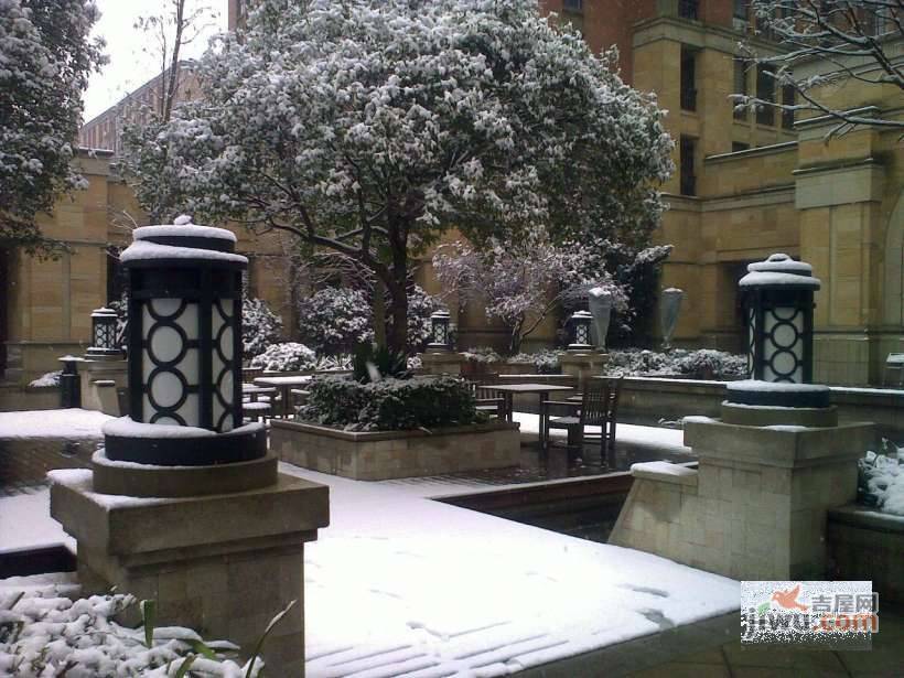 绿城桂花城实景图图片