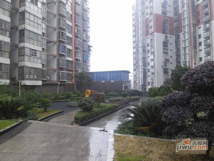 东方新世界实景图图片