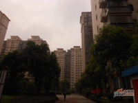 鑫天山水洲城实景图18