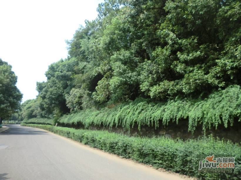 同升湖山庄小区实景图图片