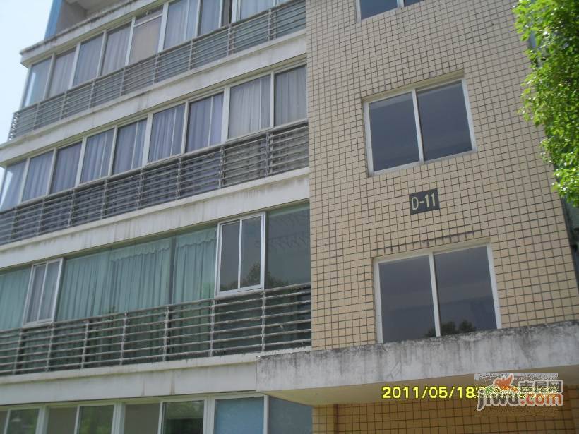 白竹水乡实景图图片