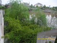 白竹水乡实景图图片