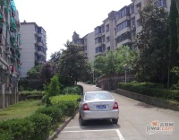 鉬鐵礦小區實景圖圖片