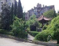 鉬鐵礦小區實景圖圖片