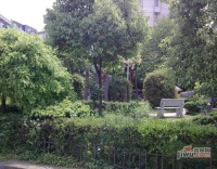 鉬鐵礦小區實景圖圖片