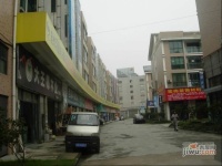 杭州湾建材市场实景图图片