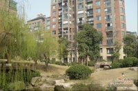 枫林晓城实景图图片