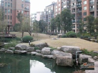 枫林晓城实景图图片