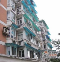 紫林公寓實景圖圖片