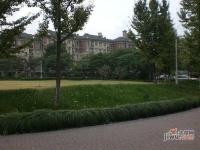 桂花园实景图图片