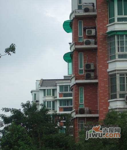 绿洲湾实景图图片