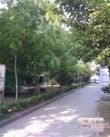 青莎閣小區實景圖圖片