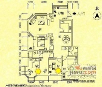 滨江阳光海岸6室3厅3卫486㎡户型图