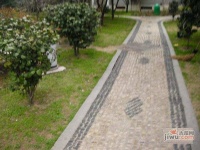 曙光公寓實景圖圖片