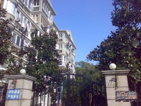 曙光公寓實景圖圖片