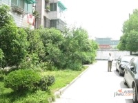 嘉興東路小區實景圖圖片