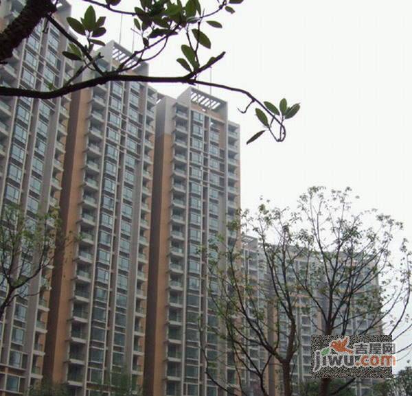 嘉兴东路小区实景图图片