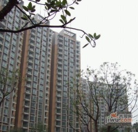 嘉興東路小區實景圖圖片