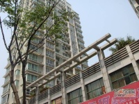 藍海時代實景圖圖片