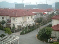 云桂花園實景圖圖片