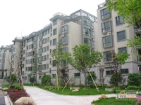 云桂花園實景圖圖片