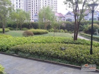 江南明城实景图图片
