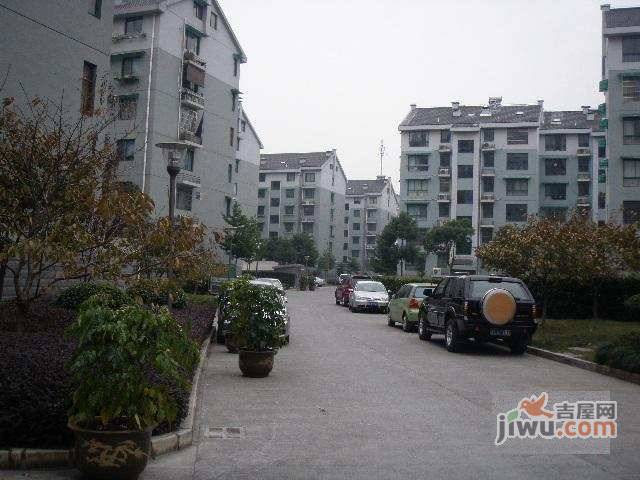 菊香苑实景图图片