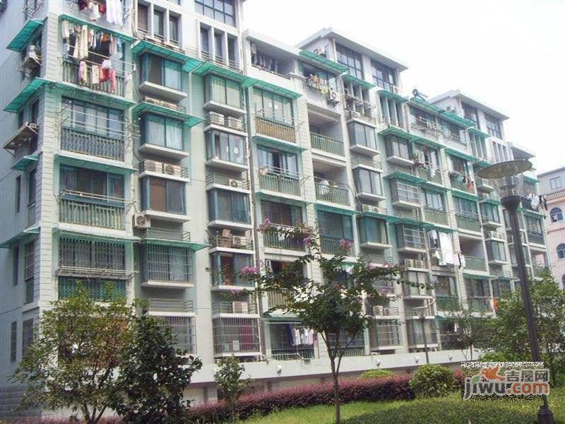 菊香苑实景图图片