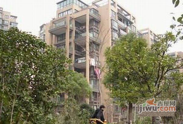 菊香苑实景图图片