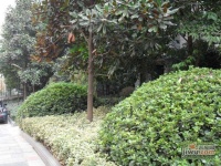 窑山花园实景图图片