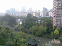 东河家园实景图图片