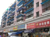 塘苗路小區實景圖圖片