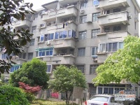 塘苗路小區實景圖圖片