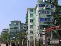 塘苗路小區實景圖圖片