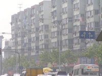 塘苗路小區實景圖圖片
