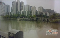 濱河公寓實景圖圖片