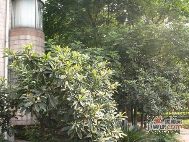 施家桥小区实景图图片