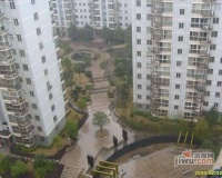 勞動路小區實景圖圖片