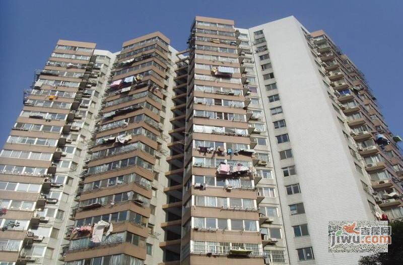 东园高层公寓实景图图片