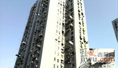 东园高层公寓实景图图片